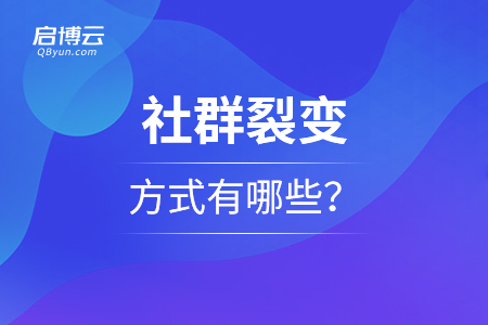 社群裂變的方式有哪些？